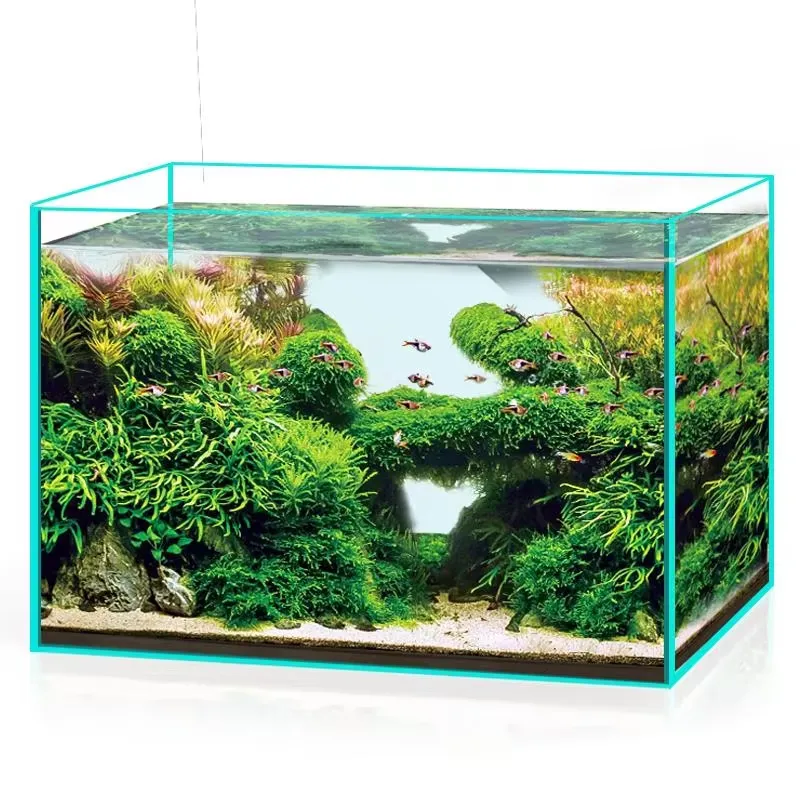 Aquarium Marine Clearwater - Aquário de Vidro Ultra Claro para