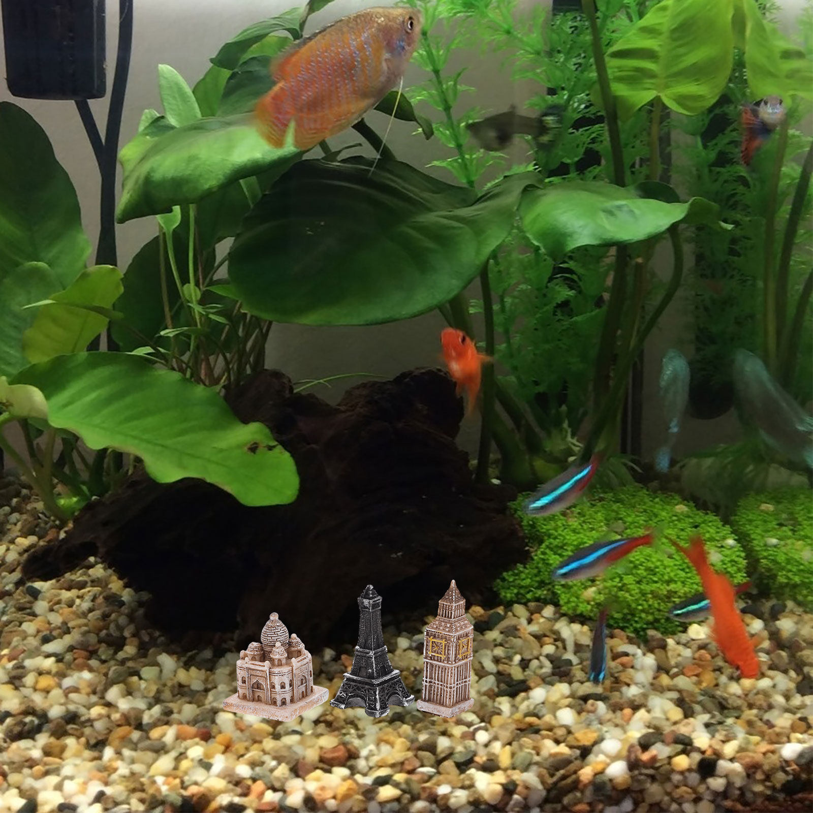 Aquarium & Marine Museum Ums - Conjunto de 7 Estátuas Romanas em