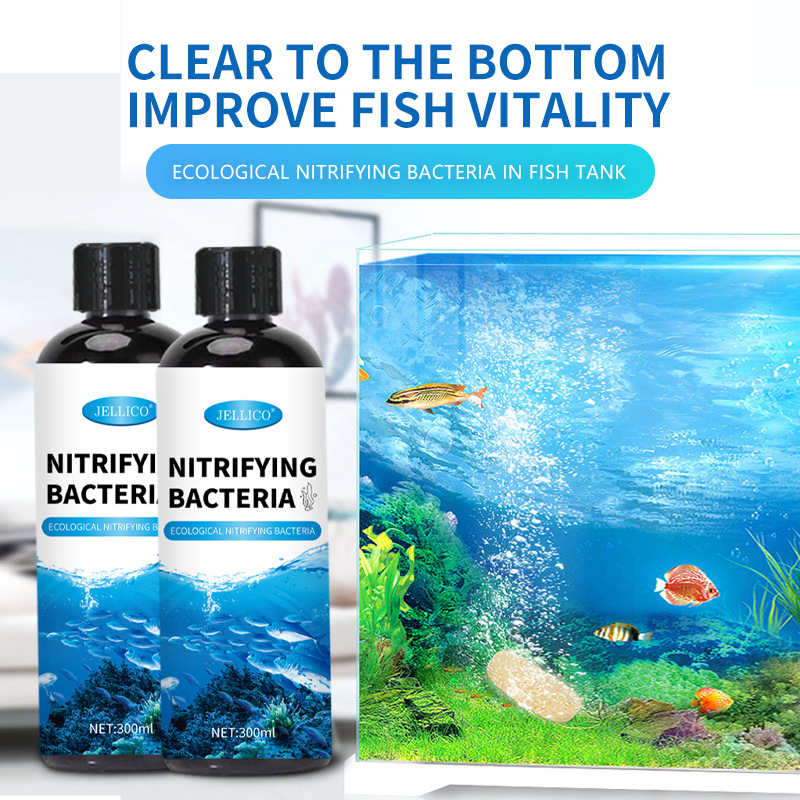 Aquarium Marine Clearwater - Purificador de Água para Aquário com