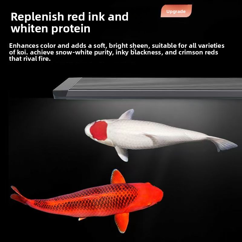 Aquarium Marine Clearwater - Luz LED para Aquário com Sistema
