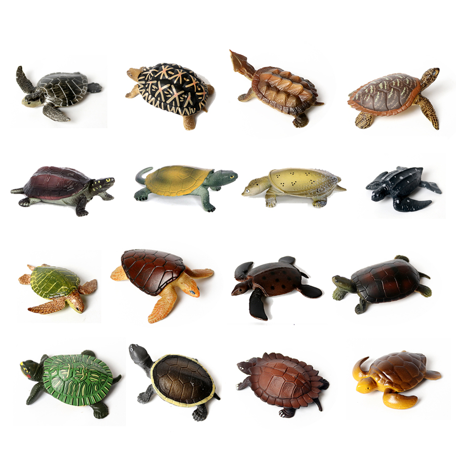 Marine Aquarium & Regional Centre Reviews - Realistic Miniatures Marine Life Sea Turtle