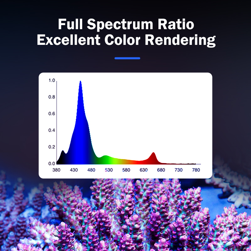 Luz LED de Espectro Completo K - Marine Aquarium & Regional Centre Reviews avaliação e preço