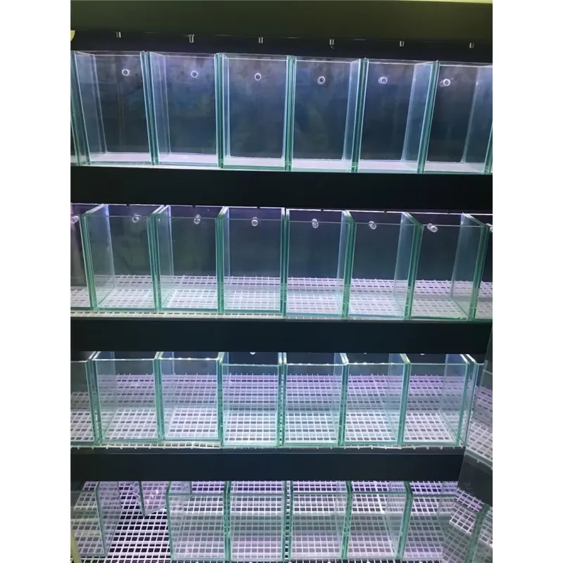 Aquário de Vidro Ultra Claro p - Aquarium Marine Clearwater avaliação e preço