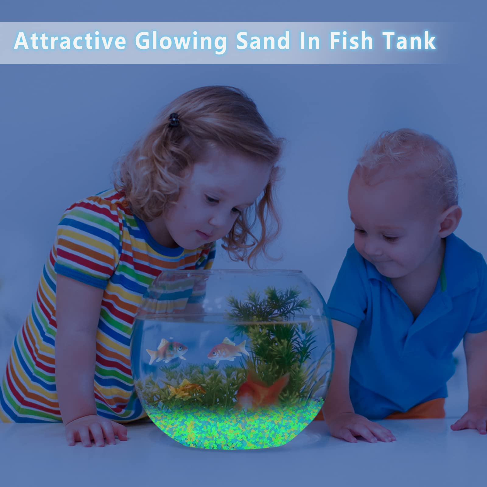 1000 pçs areia luminosa que br - Marine Aquarium Tanks avaliação e preço