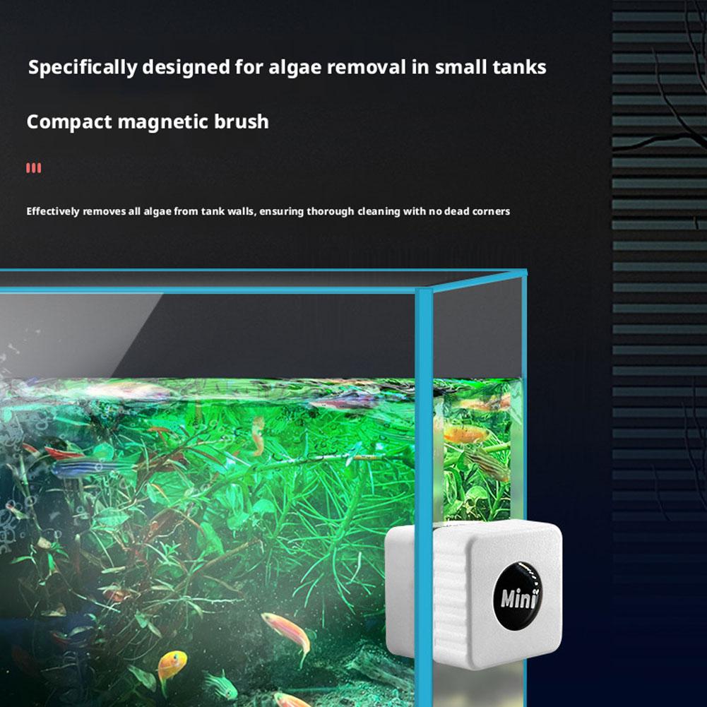 Limpa Vidros Magnético para Aq - Marine Aquarium Glass Scraper avaliação e preço
