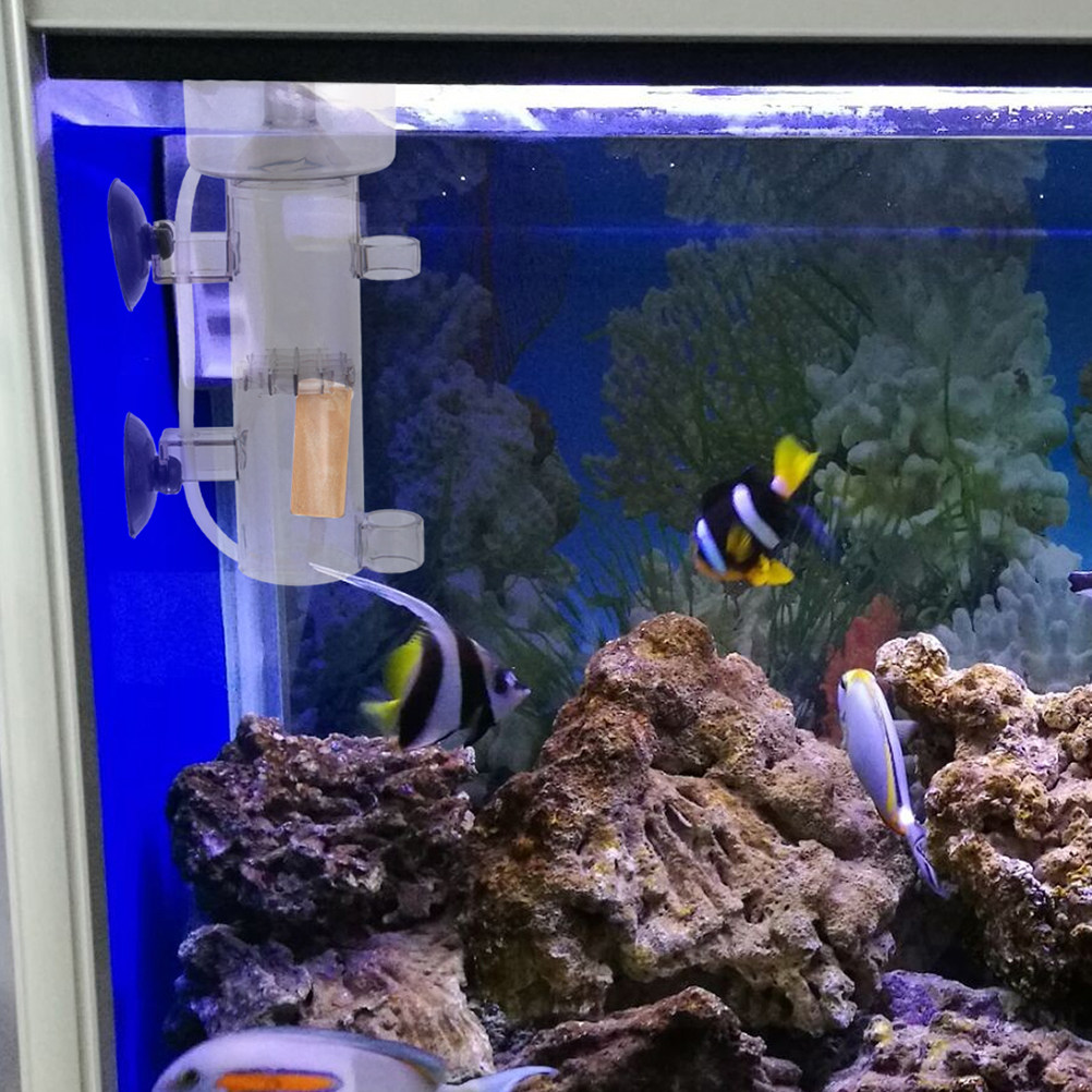 Skimmer de Proteínas Interno M - Marine Aquarium & Regional Centre Reviews avaliação e preço