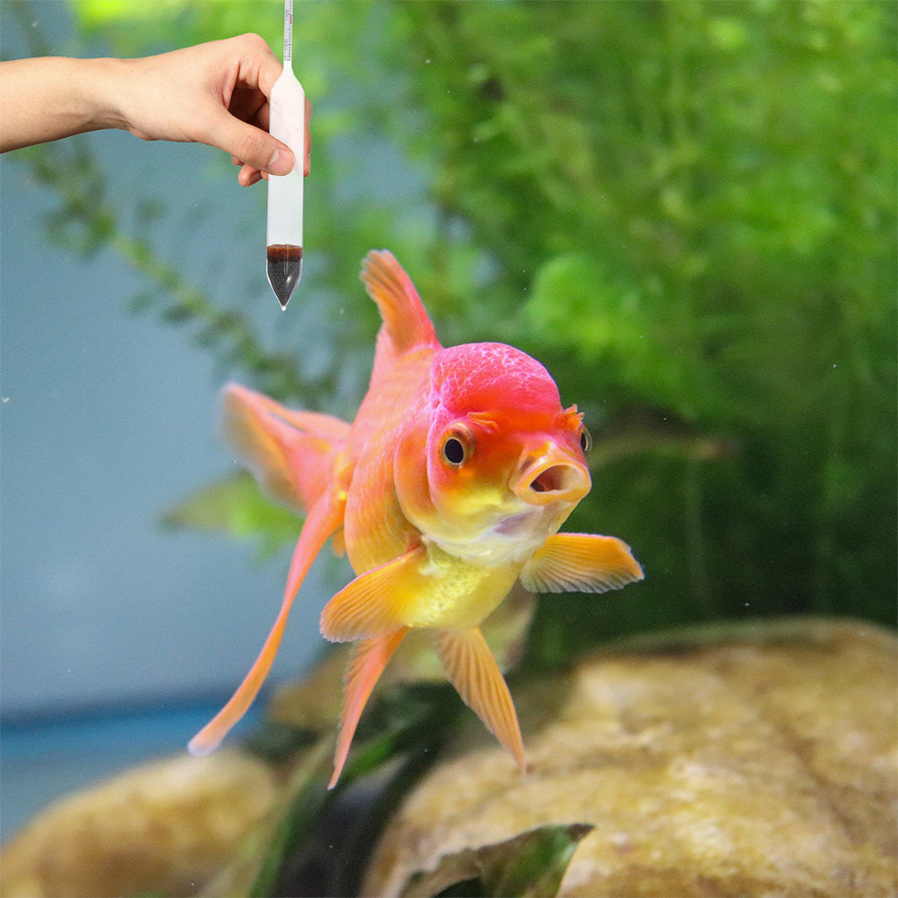 2 Peças Hidrômetro de Salinida - Marine Aquarium Hydrometer avaliação e preço