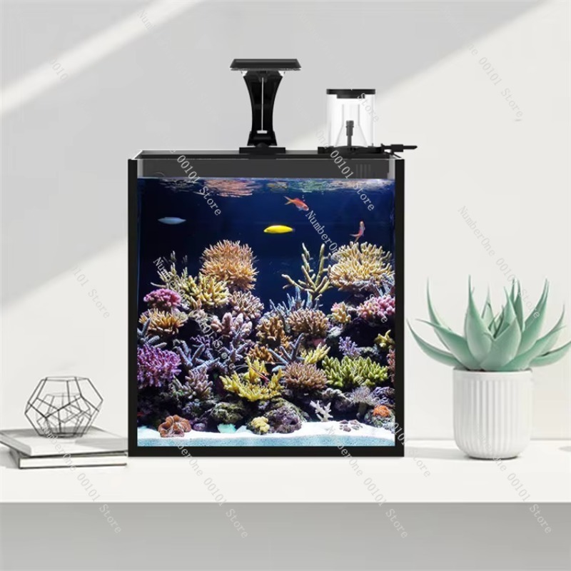 Aquário Marinho Mini de Vidro  - Aquarium Marine Clearwater avaliação e preço