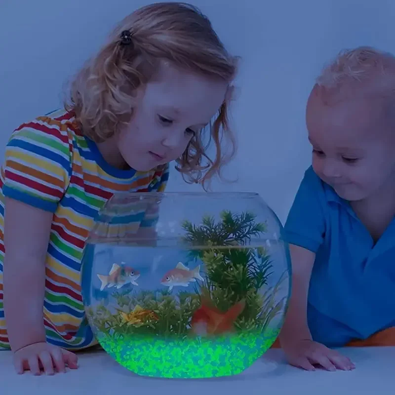1000 pçs 3-5mm areia luminosa  - Marine Aquarium Tanks avaliação e preço