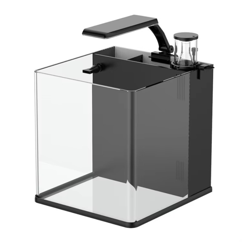 Mini tanque de peixes de aquár - Aquarium Marine Clearwater avaliação e preço