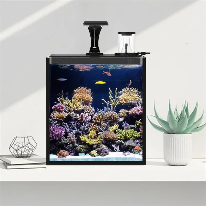 Venda Quente Aquário Mini de Á - Aquarium Marine Clearwater avaliação e preço