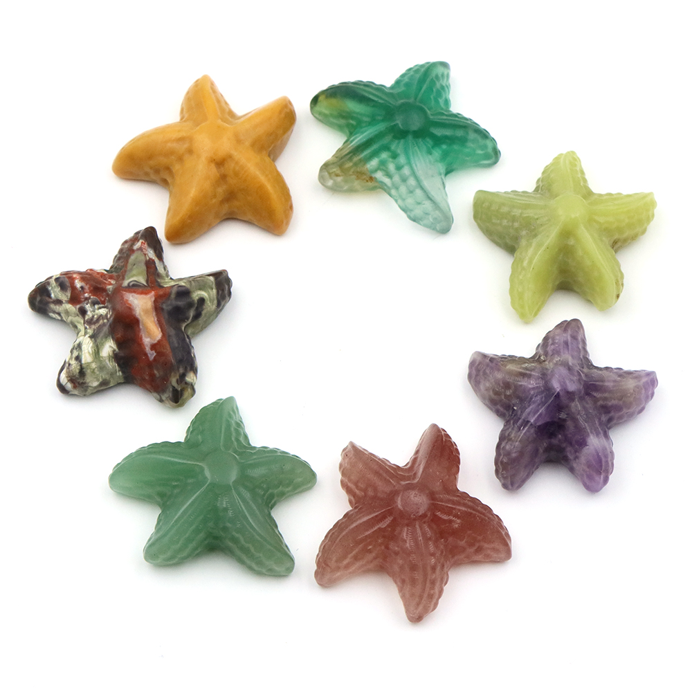 Estátua em forma de estrela do - Marine Aquarium & Regional Centre Reviews avaliação e preço
