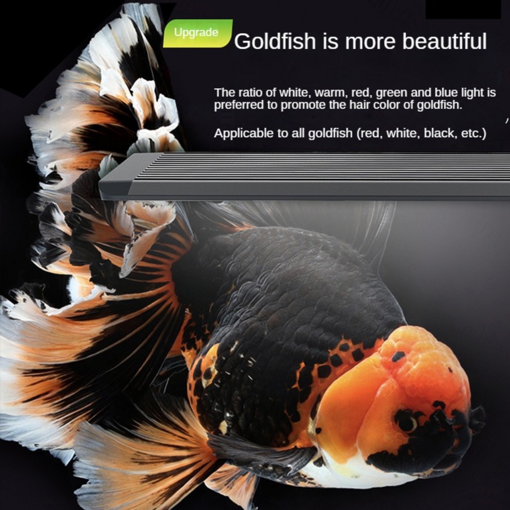 Luz de Aquário com Lente Óptic - Aquarium Marine Clearwater avaliação e preço