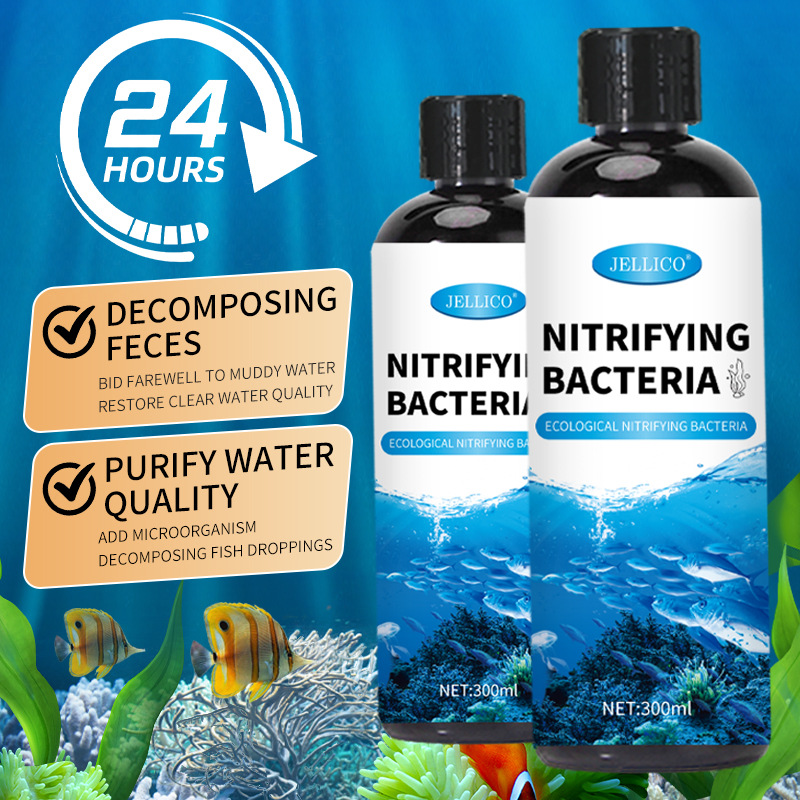 Purificador de Água para Aquár - Aquarium Marine Clearwater avaliação e preço