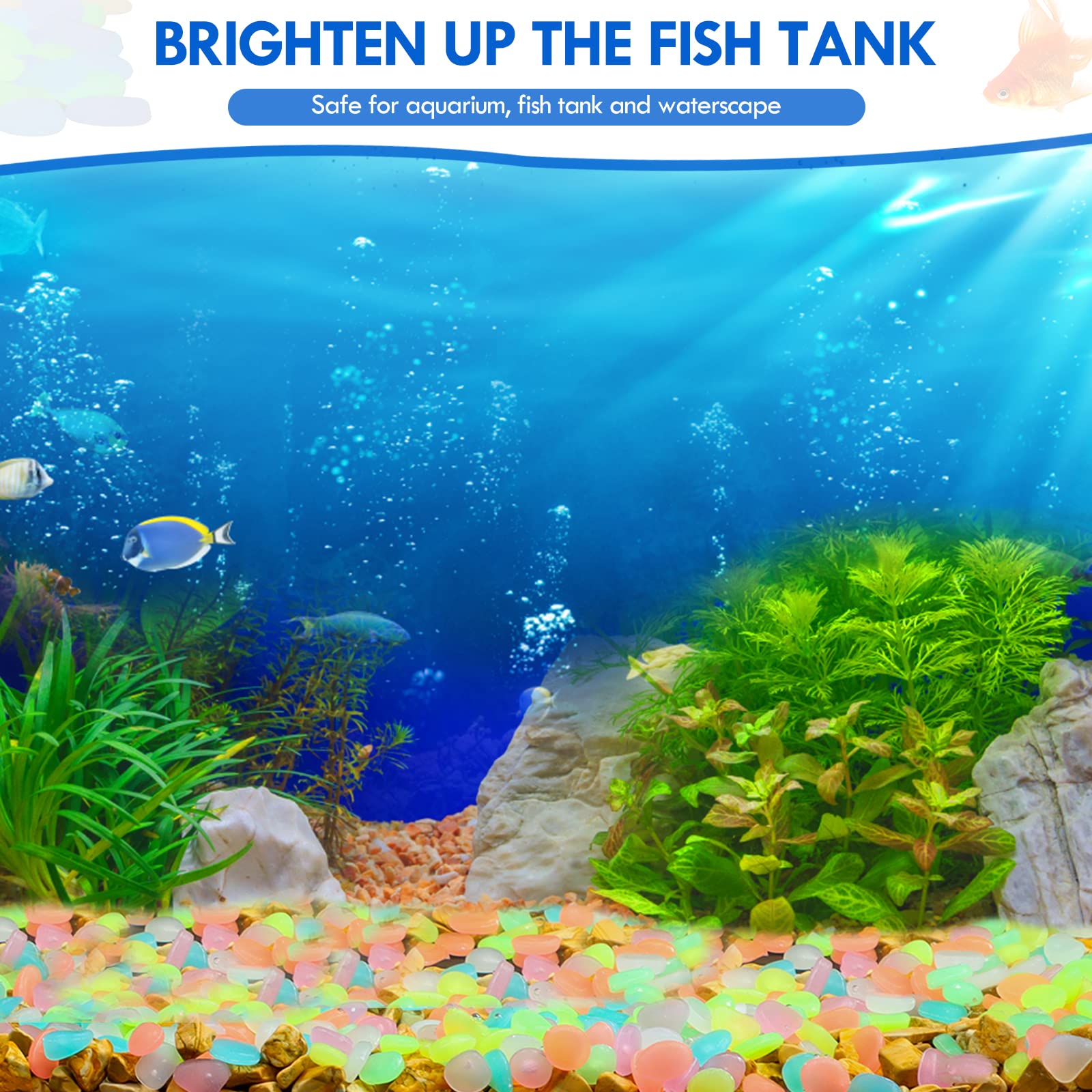 100 pçs brilham no escuro jard - Marine Aquarium Tanks avaliação e preço