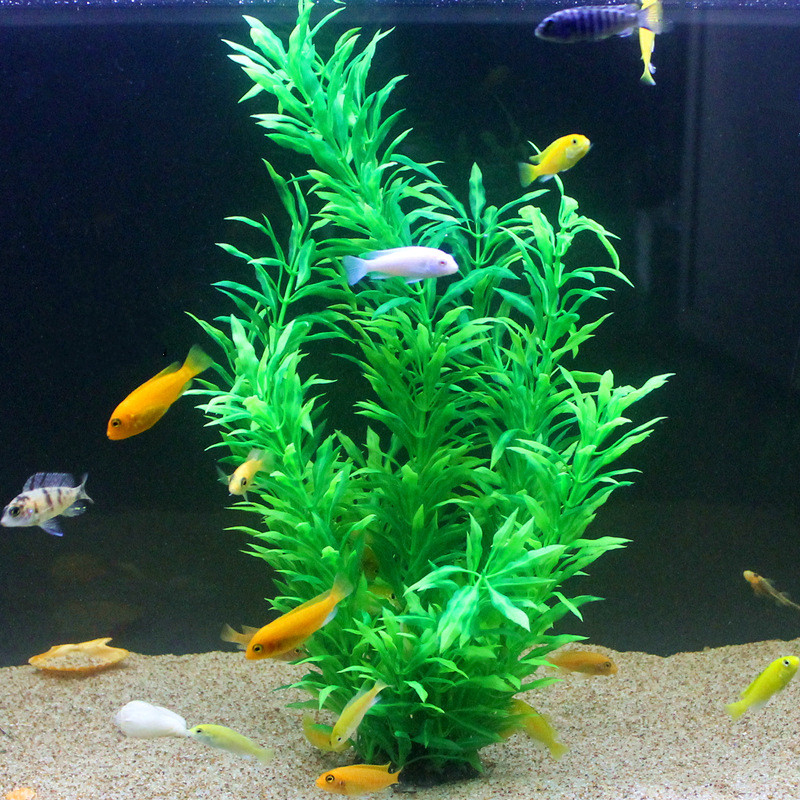 Plantas Artificiais Raras para - Marine Aquarium Tanks avaliação e preço