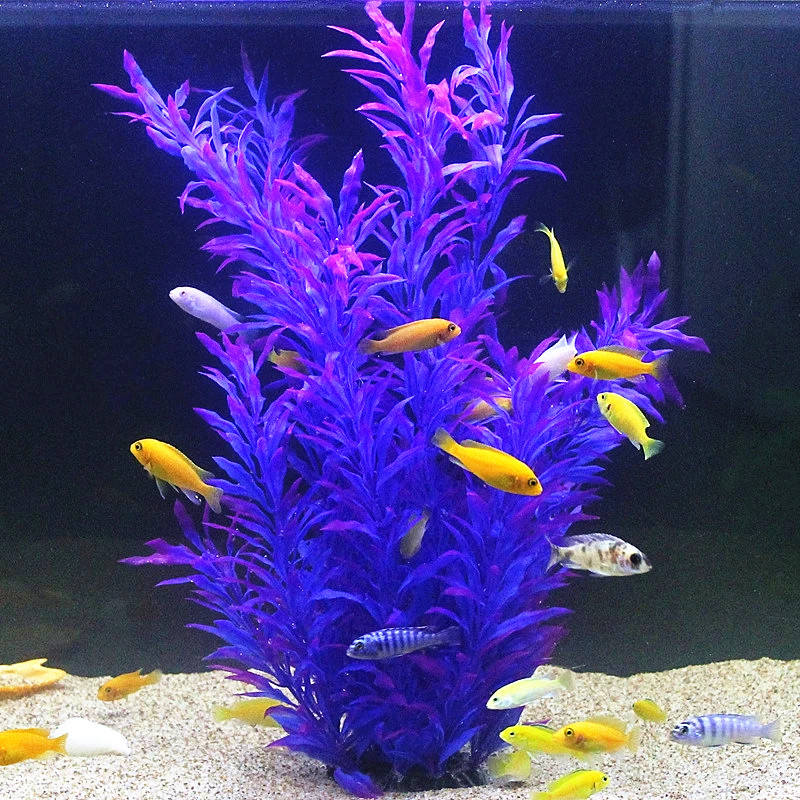 Plantas Artificiais Raras para - Marine Aquarium Tanks avaliação e preço