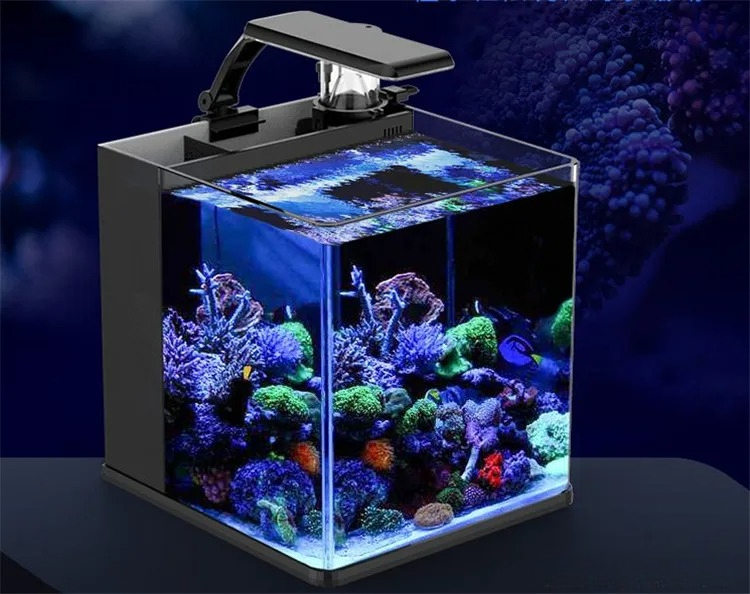 Aquário Marinho Mini de Vidro  - Aquarium Marine Clearwater avaliação e preço