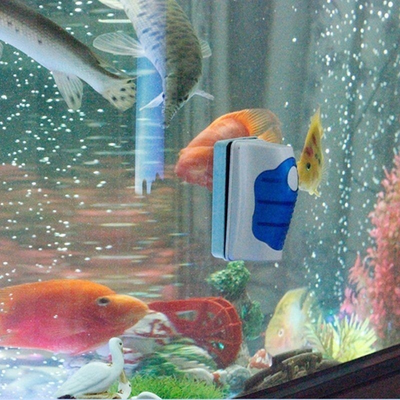 Limpador de vidro para tanque  - Marine Aquarium Glass Scraper avaliação e preço