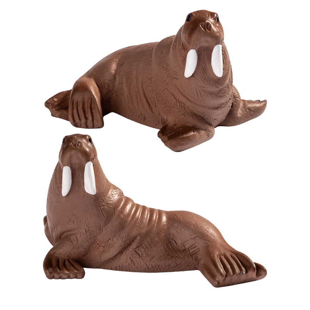2 Peças Mini Decoração de Resi - Marine Aquarium & Regional Centre Reviews avaliação e preço